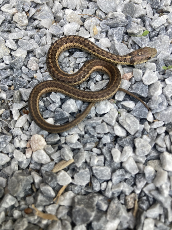 D6BF7472-0D0C-4BFC-A6F6-8165910AA10A