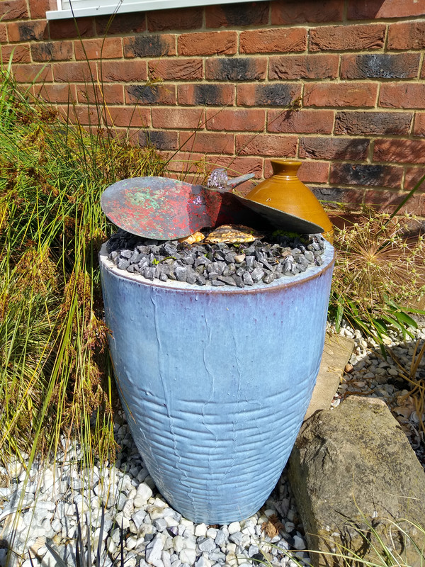 IMG_20240707_102845711_HDR