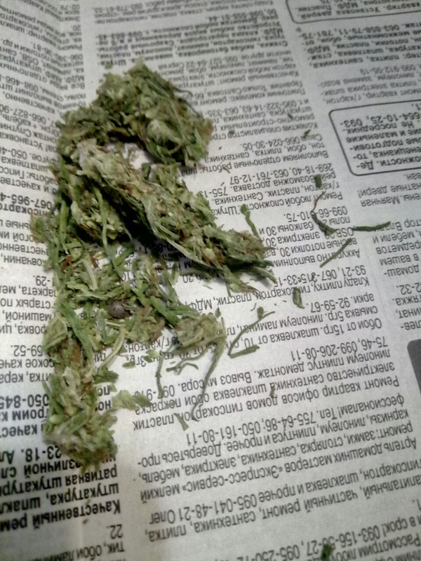 Сниться нам