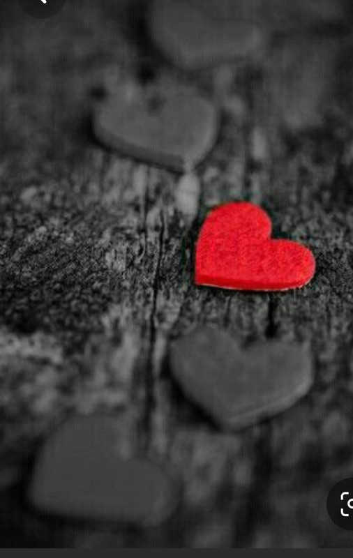 Screenshot_20230329_230826_Pinterest