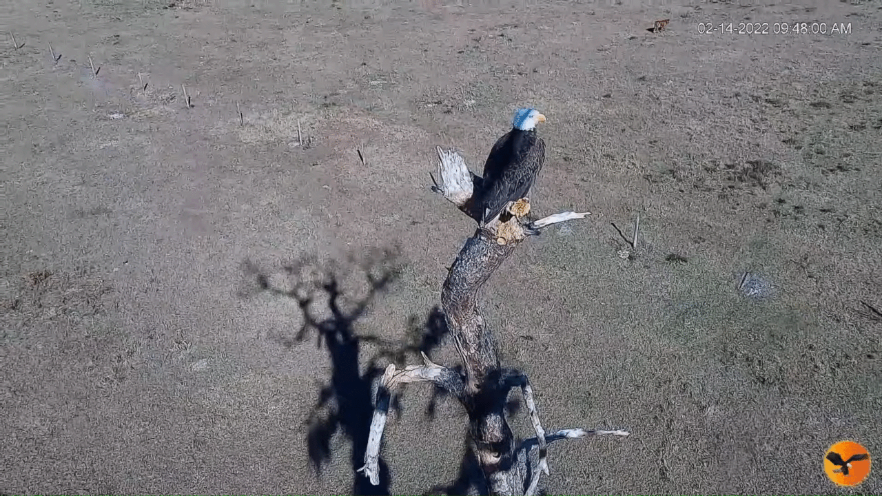 Webp.net-gifmaker (4)