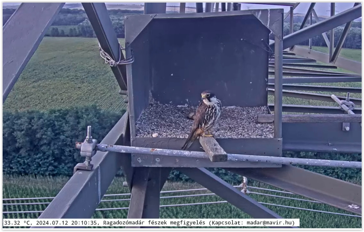 Screen Shot 07-12-24 at 08.11 PM