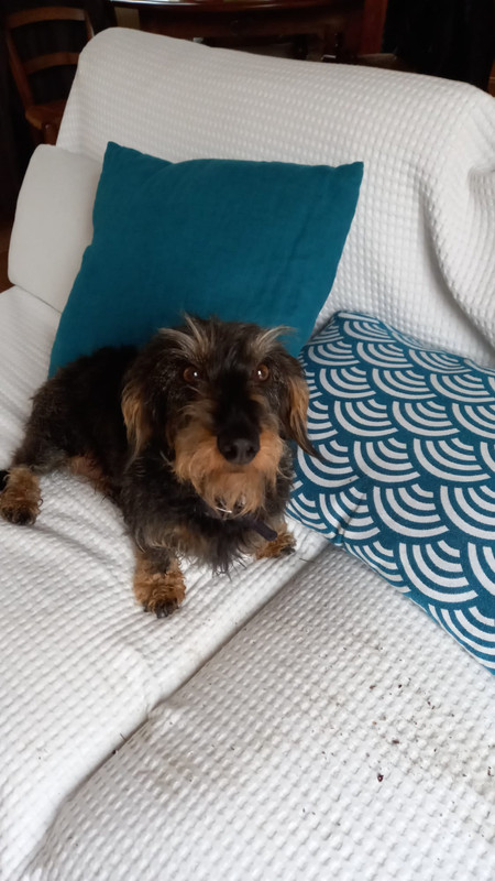 [Image: IMG-20211225-WA0002.jpg]