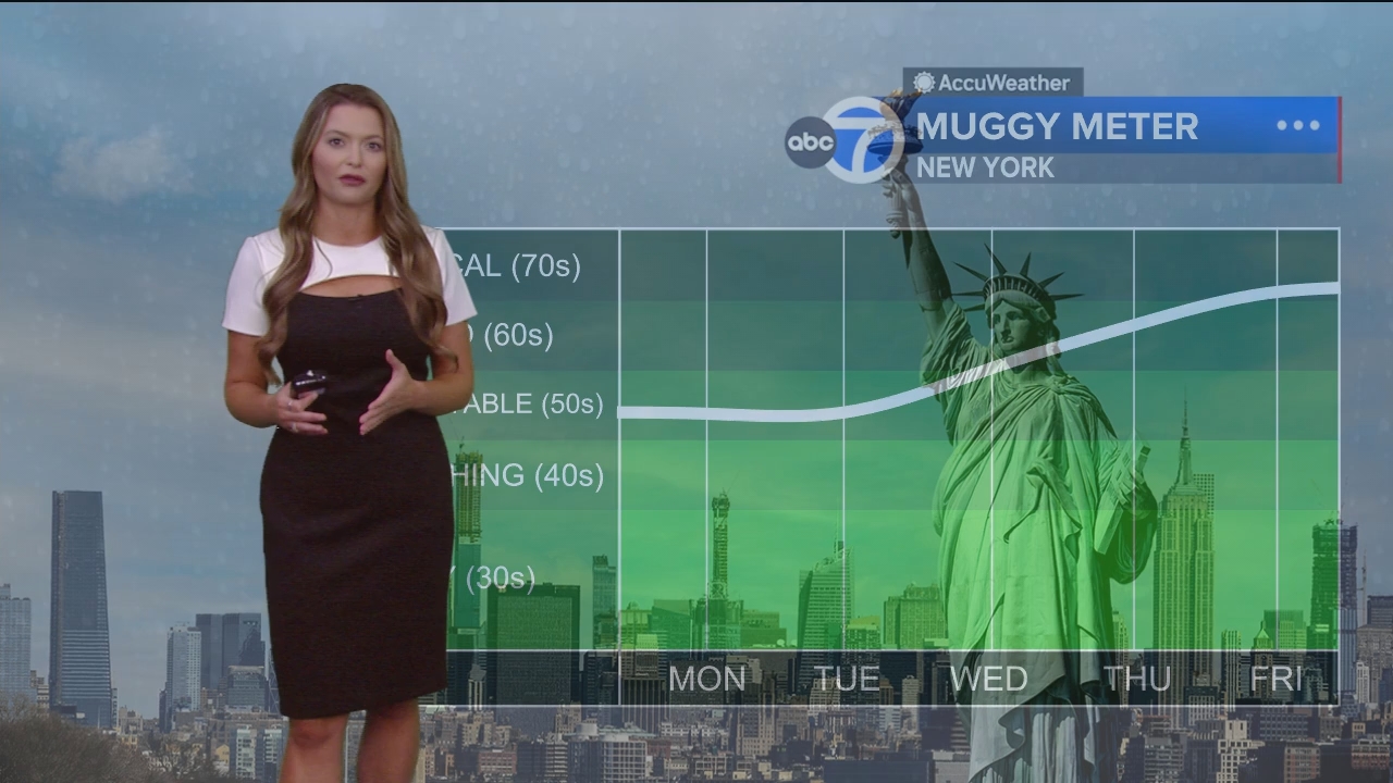 Eyewitness News Mornings at 10_20240701_15001600.ts_snapshot_00.19.26.127