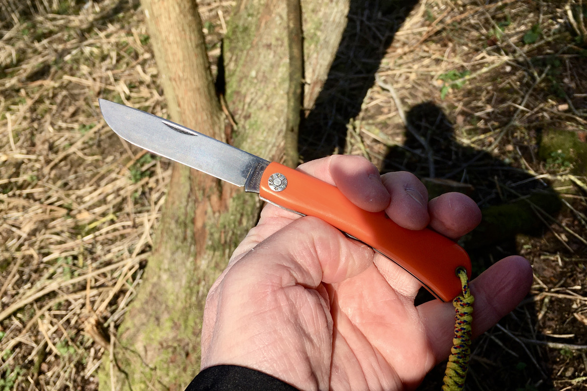 BBDEDF3D-C174-4E43-AAED-56347552086B