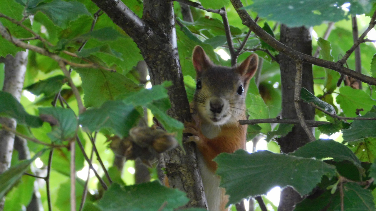 Дачное и  к Хелл сентябрь 2023 008