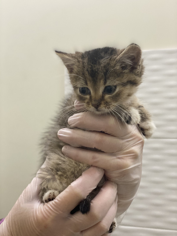 FA18D20D-A4D2-445D-B6ED-3A310E1FFAE1