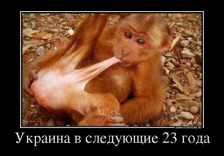 07df494d5df5c4b97ebc520d820ec751-h-1313.