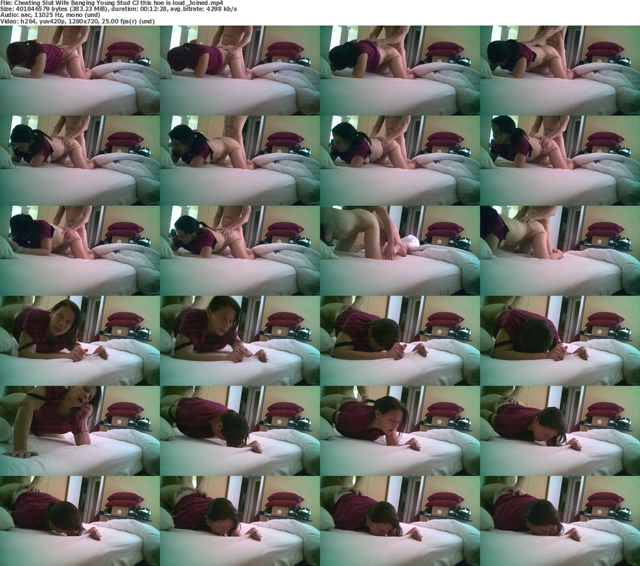 27082024183537screenshot