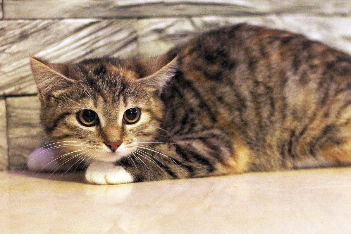 IMG_1321 — копия