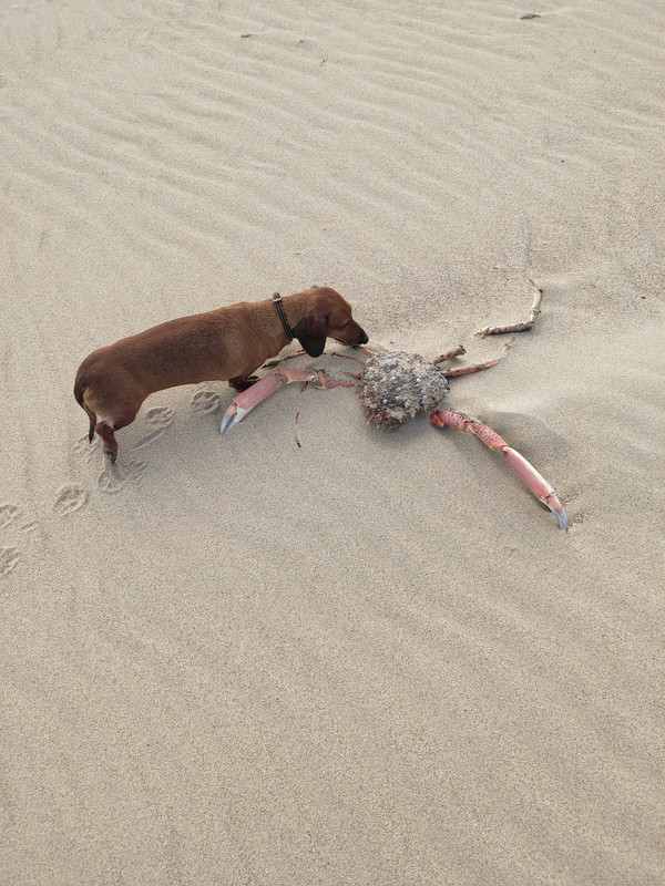 [Image: IMG-20240514-192924.jpg]