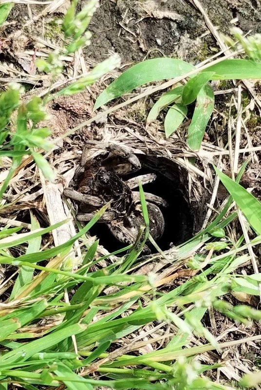 изображение_viber_2025-06-07_22-04-02-826