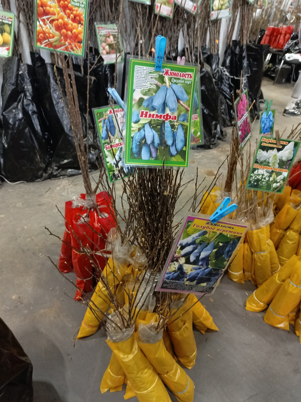 IMG_20250424_144425_202