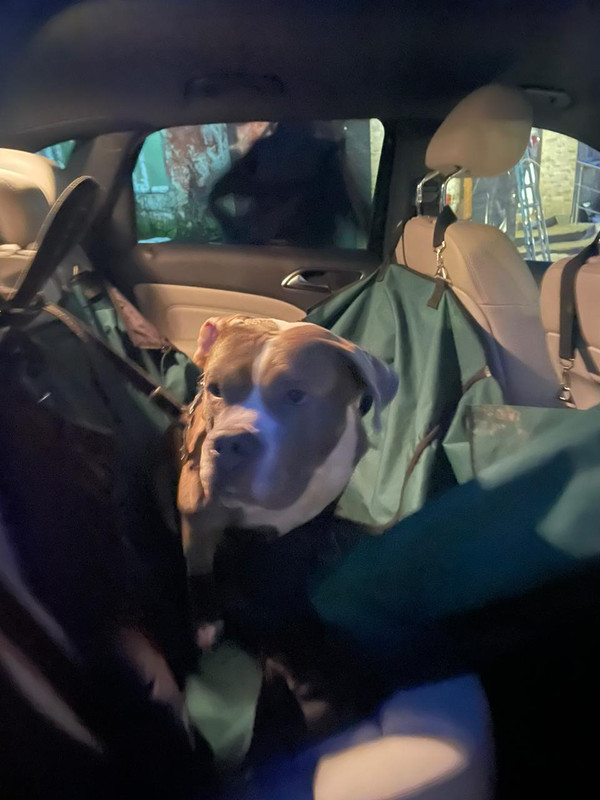 448D22FA-4556-411E-8744-FF0A6B6FB9FA