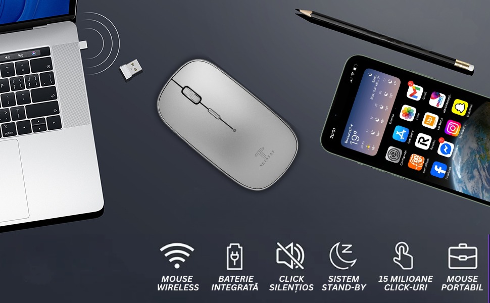 Mouse NETSTAT Prezentare 2