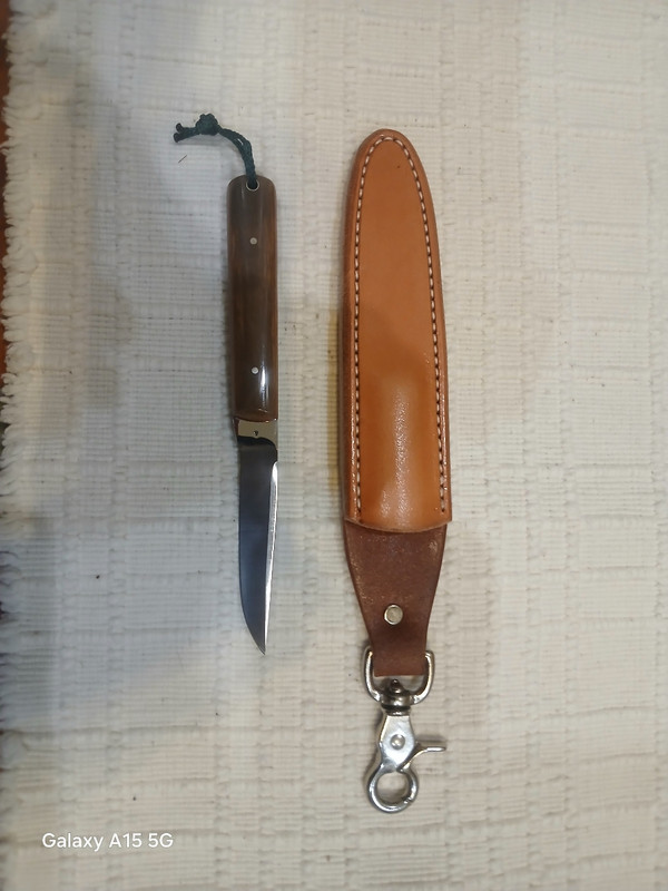 Resized(1771899076323) Resized 20260223 195223