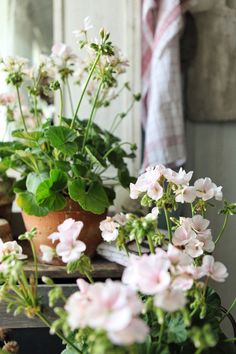 [Изображение: photo-2025-11-29-08-51-07.jpg]