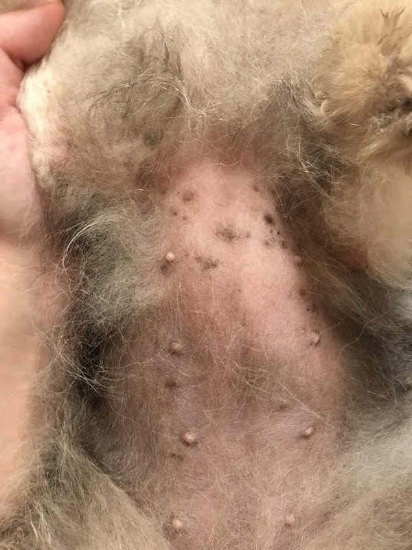 1D84AD21-28FF-4136-B756-2E2C3EF924E8