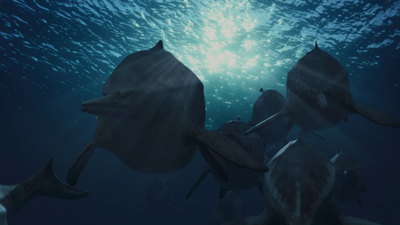 vlcsnap-2023-02-11-16h43m55s795