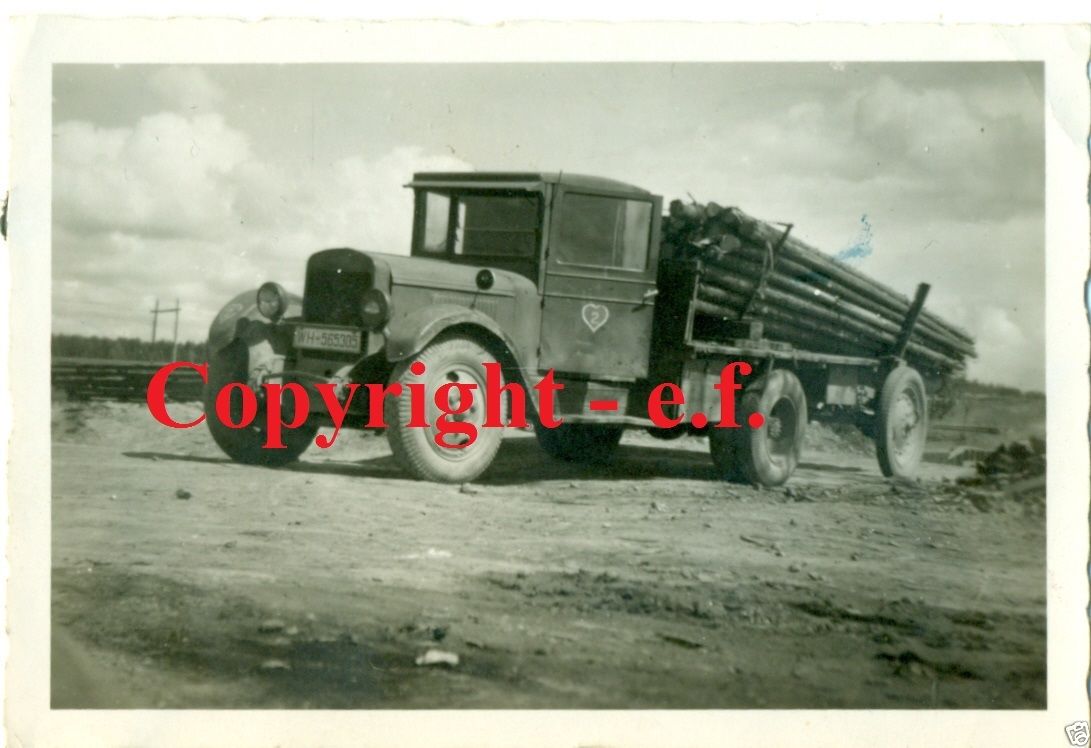 FOTO - BEUTE-KFZ - Baumstaämme auf LKW