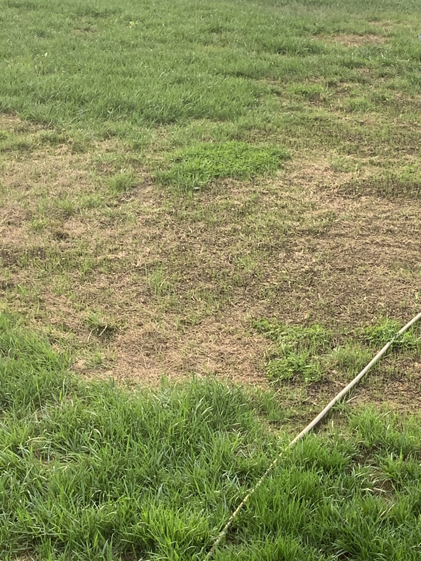 994F18A0-BD33-4E9C-BE64-269C09B2370C