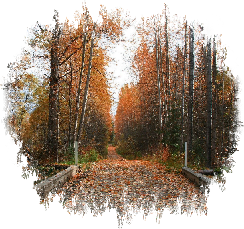 Siempre Libre & Glitters y Gifs Animados Nº366 - Página 36 Autumn-Backgrounds-1-61