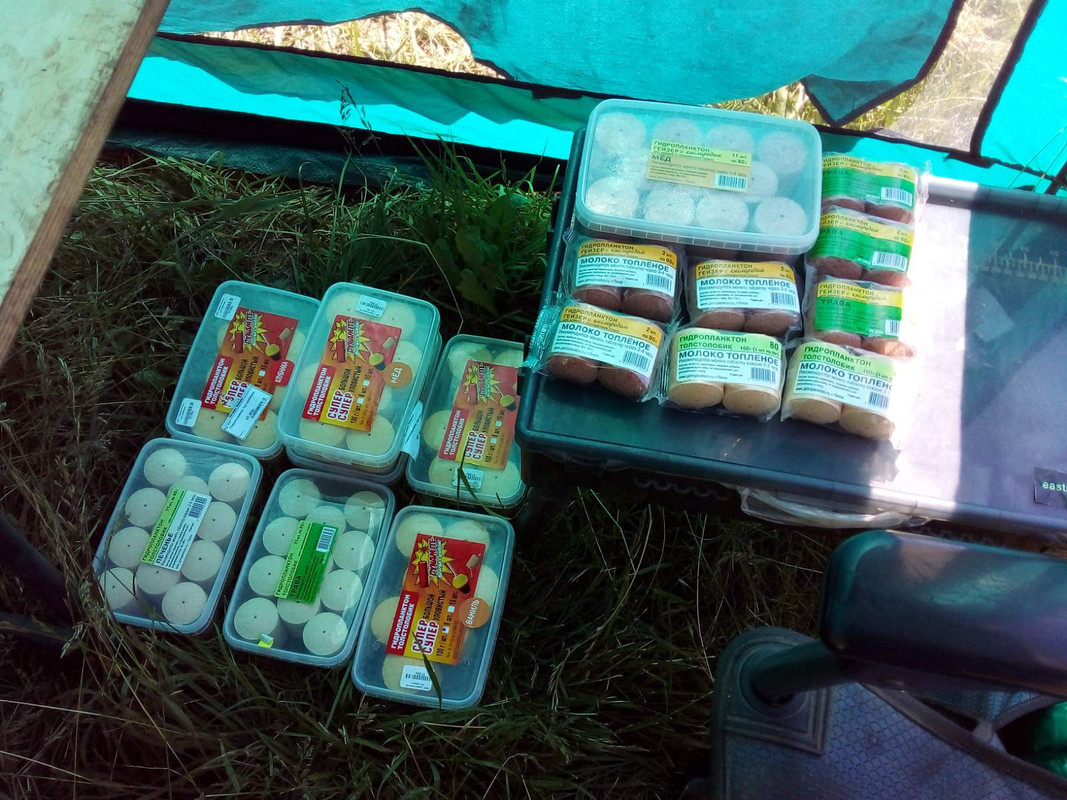 изображение_viber_2021-06-22_16-32-45