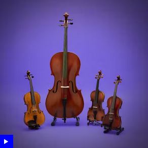 https://i.postimg.cc/tgYf2Lky/String-Quartet.jpg