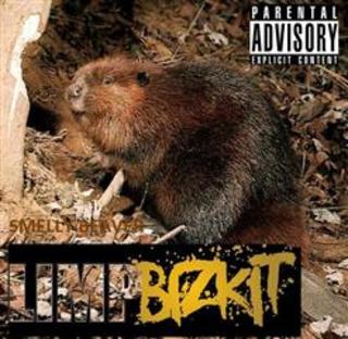 Limpbizkit - Smelly Beaver (2010).mp3 - 320 Kbps