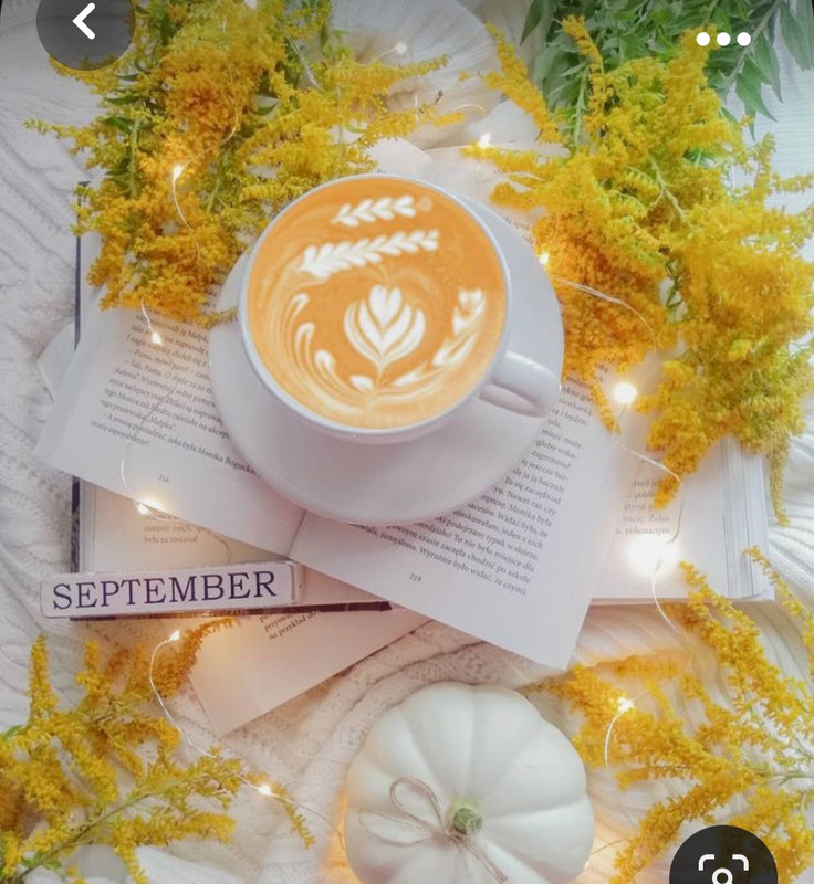 Screenshot_20230930_154804_Pinterest