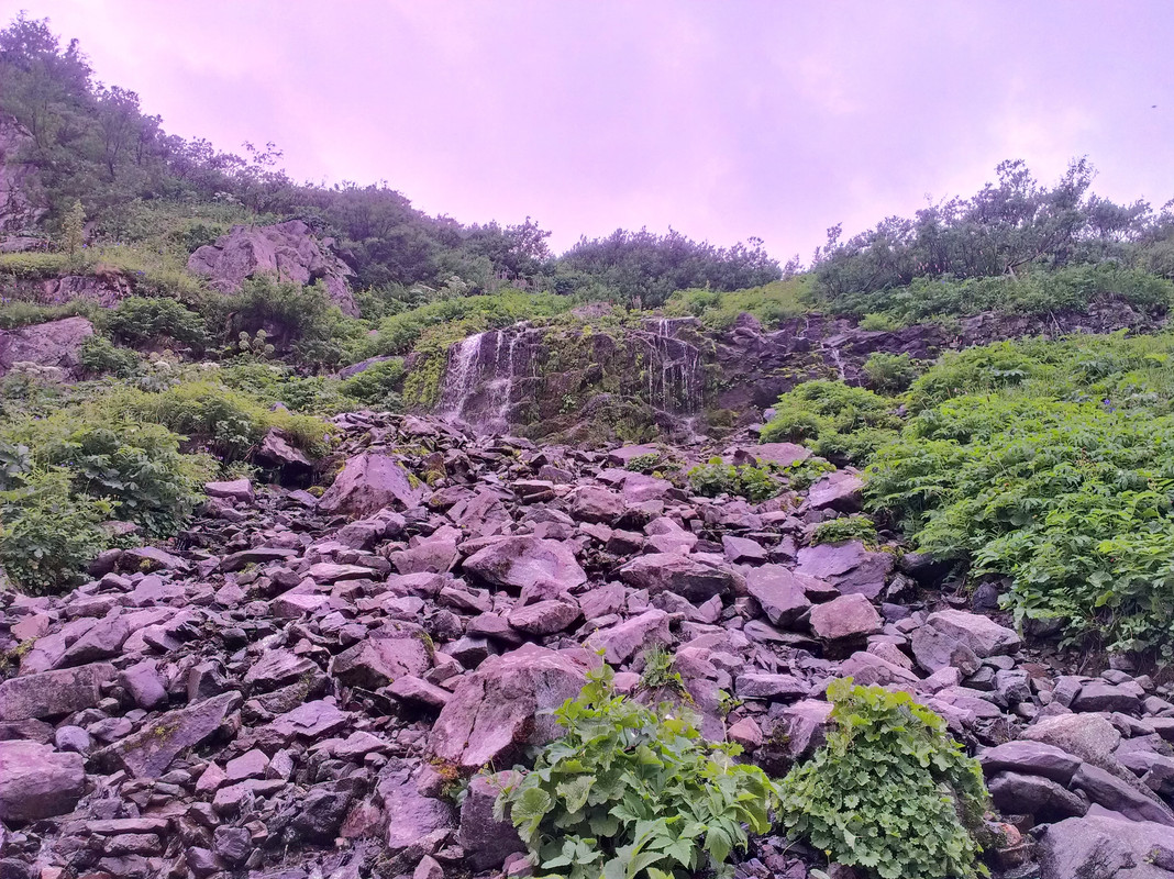 IMAG0507