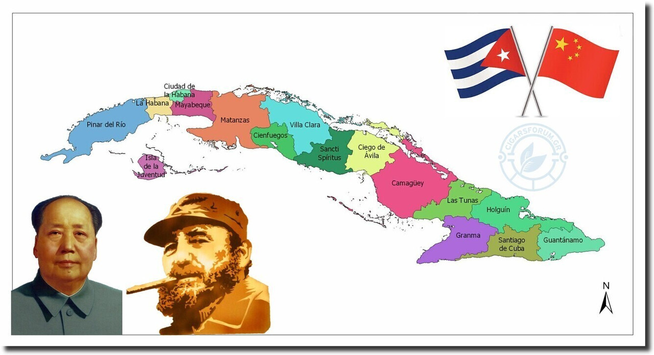 imageedit_1_7998787050