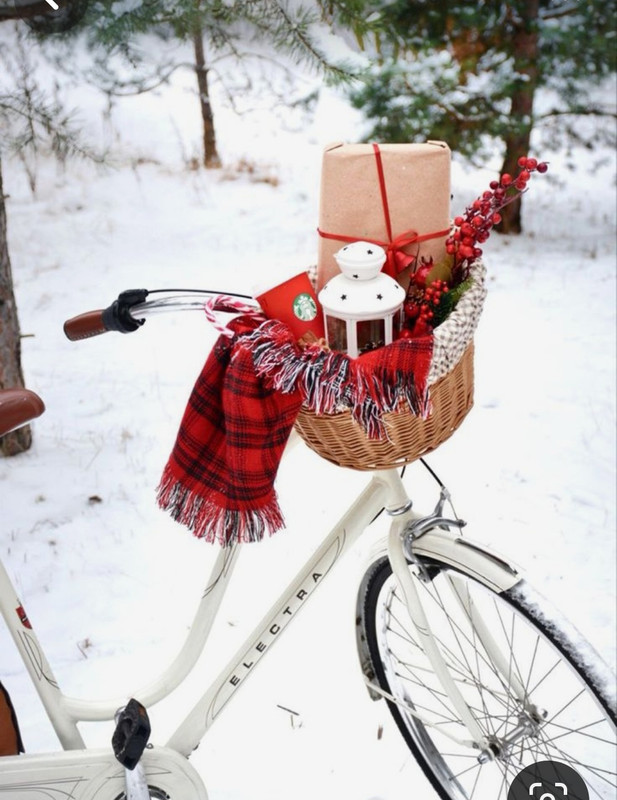 Screenshot_20231205_174841_Pinterest