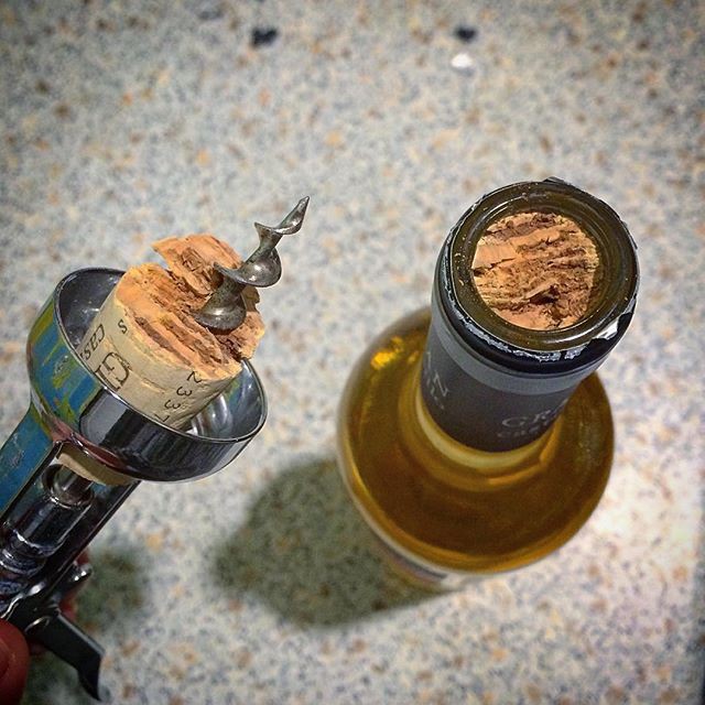 19 людей, у которых явно был день хуже, чем у тебя