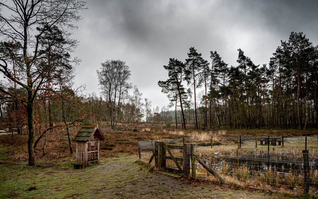 Fotografie