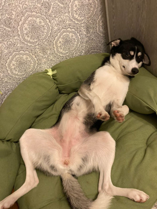 A2B36516-7934-4730-A139-A08095DD1940