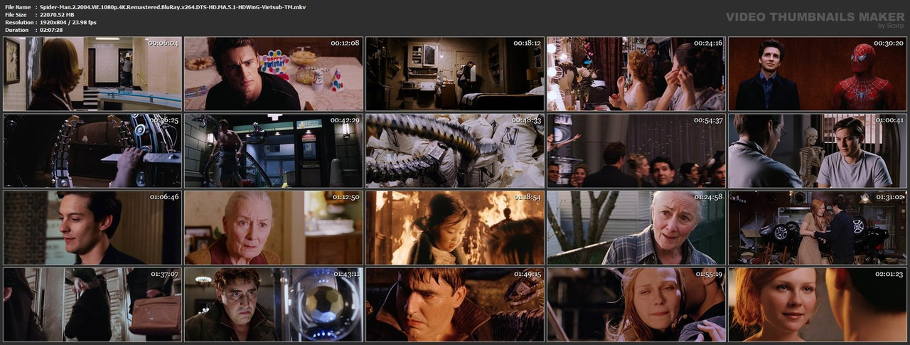 Spider-Man-2-2004-Vi-E-1080p-4-K-Remastered-Blu-Ray-x264-DTS-HD-MA-5-1-HDWin-G-Vietsub-TM-mkv.jpg