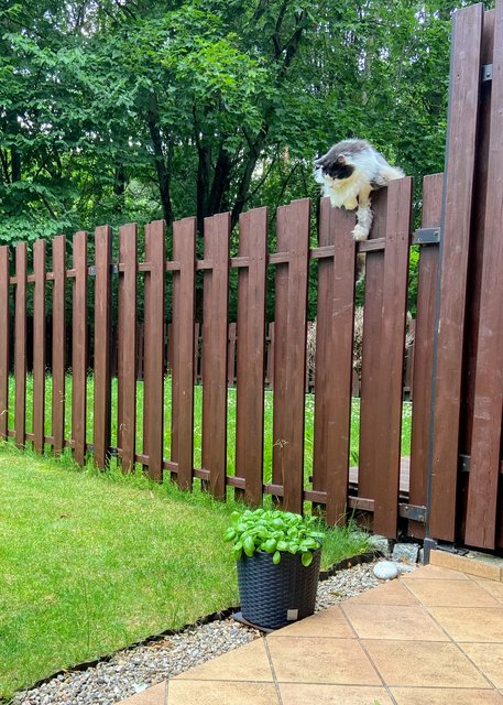 F35871-F1-5-F6-D-4-A87-B61-A-065-F5-F58-