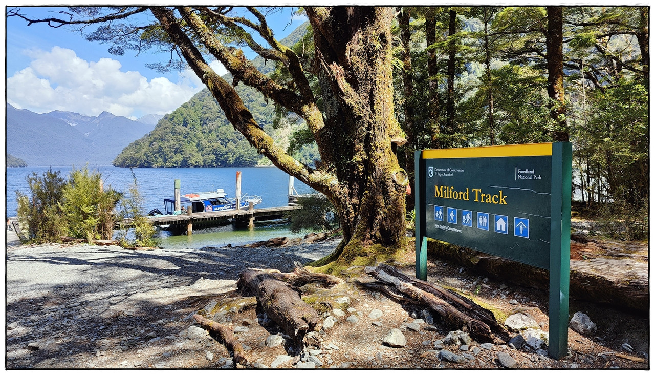 Fiordland NP: Milford Track (enero 2023) - Escapadas y rutas por la Nueva Zelanda menos conocida (6)
