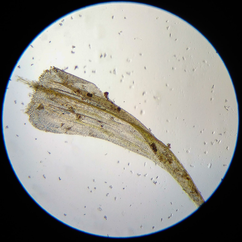 IMG 20250614 122417 HDR