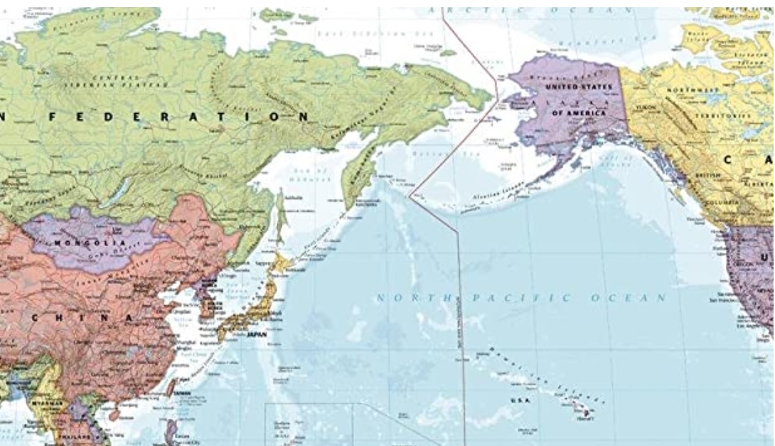 [Image: cni.jpg]