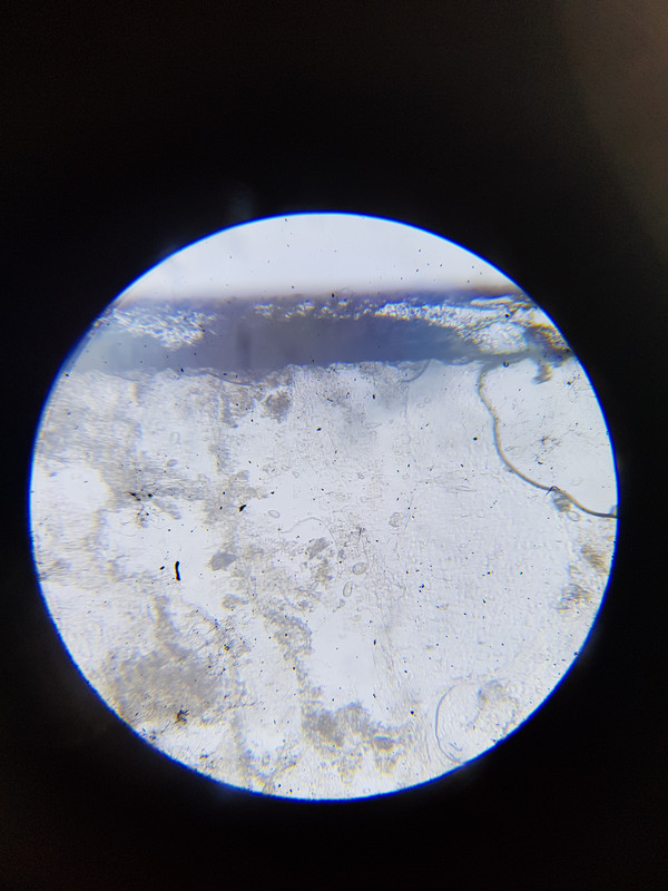 20190309_084008(0)