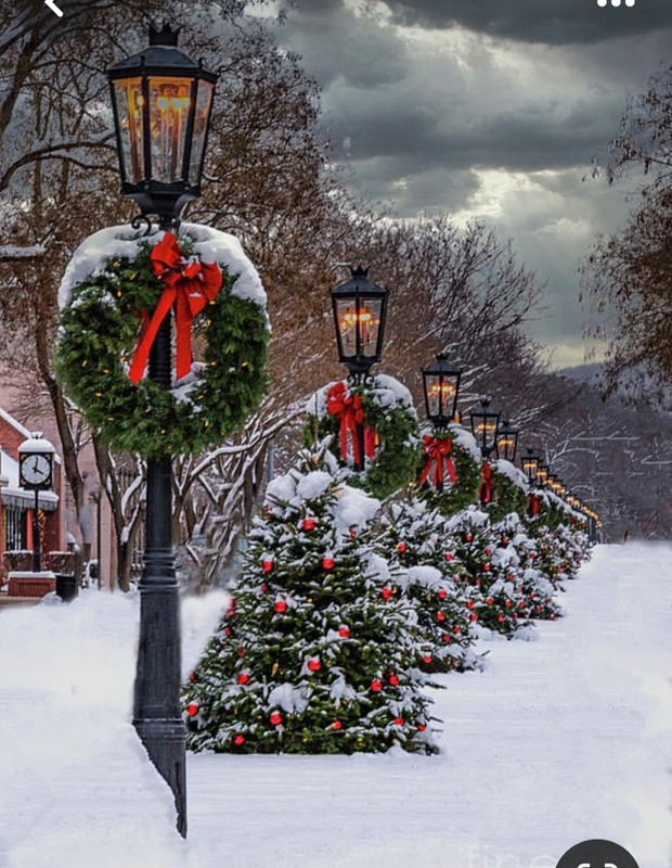 Screenshot_20240124_234226_Pinterest