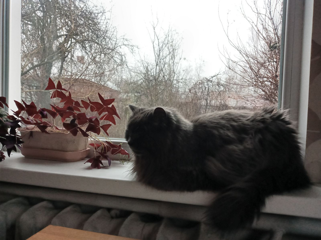 изображение_viber_2024-02-14_16-42-24-300