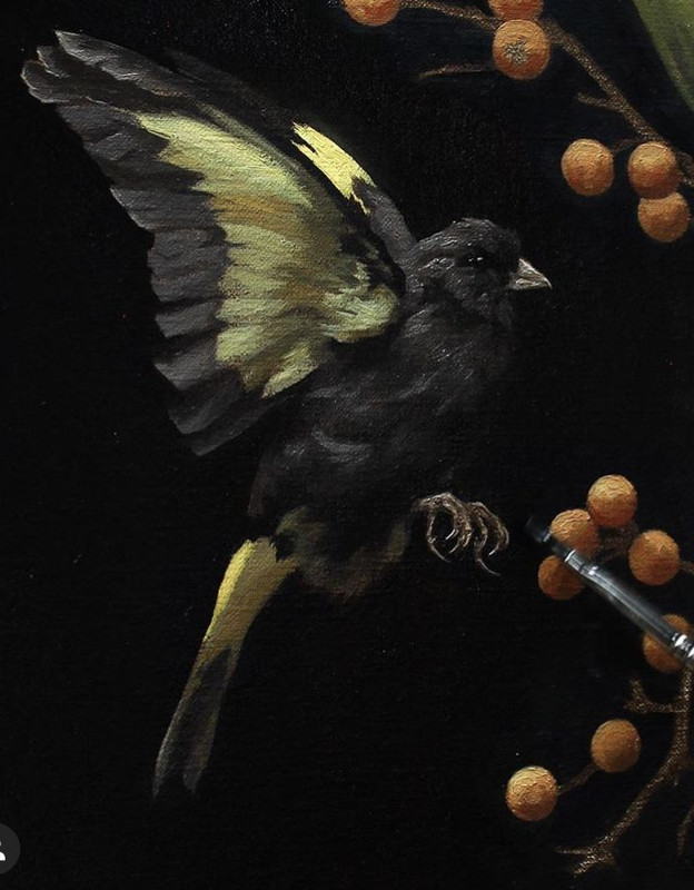 Oiseau bellus 2