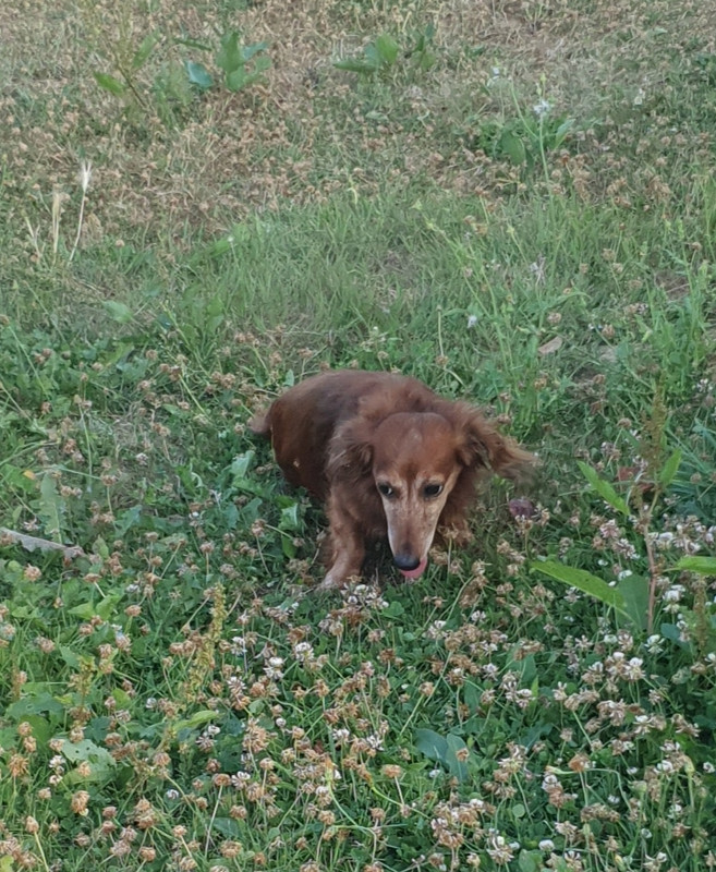 [Image: 20220722-075617.jpg]