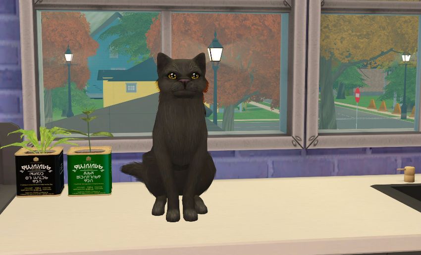 Sims2-EP9-2021-01-15-18-22-22-50