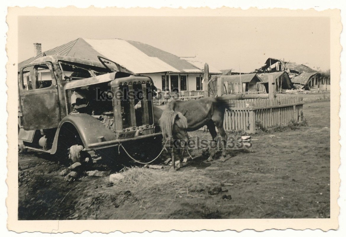 Sculani Rumänien LKW Wrack Pferde Bauernhaus Rui