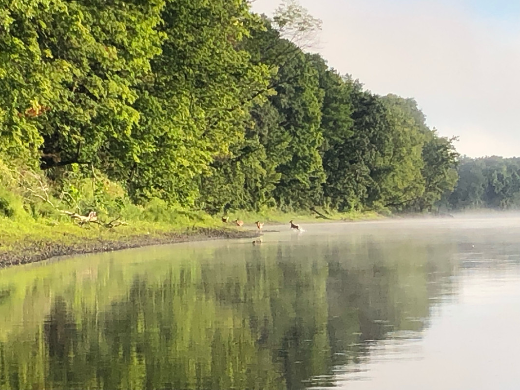 FA79C947-E7E2-4D21-9634-BEDE1DA992FE