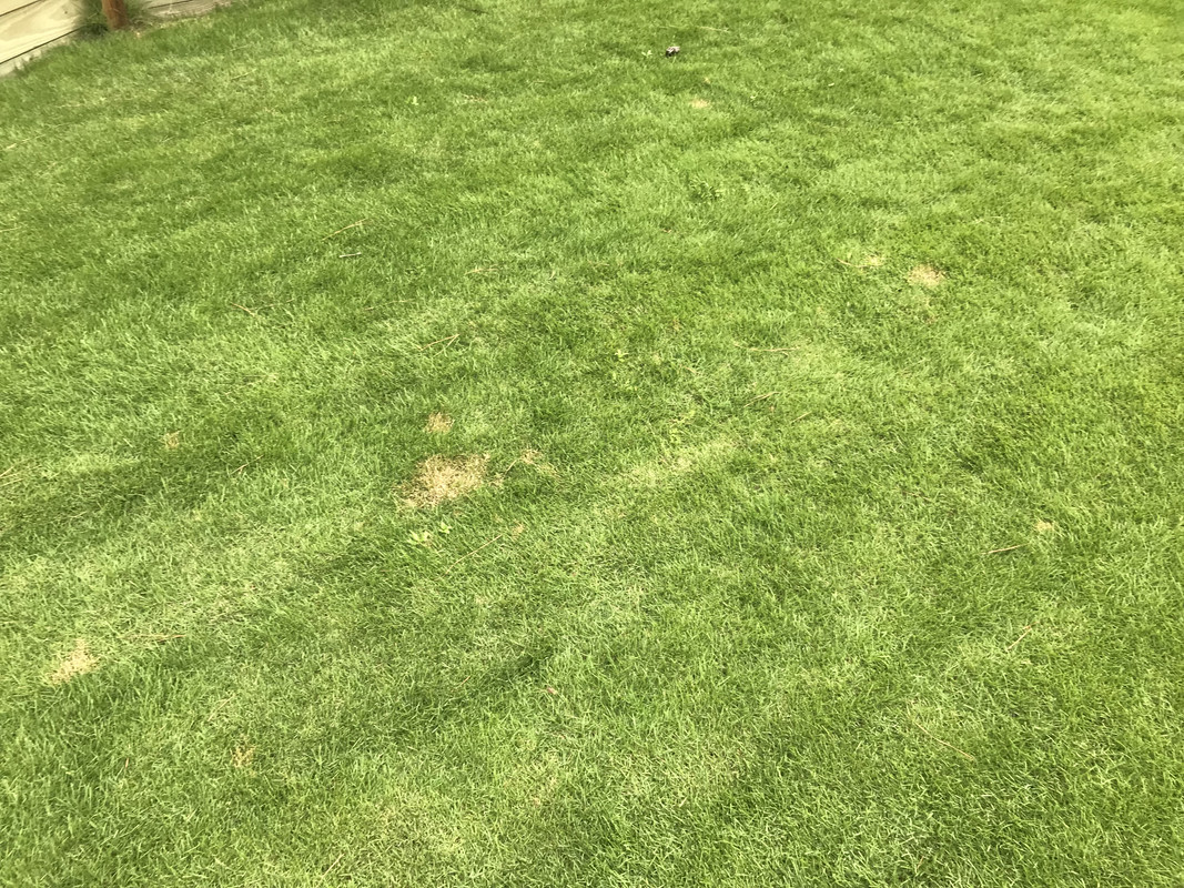 8A66E500-5C4E-43A7-9DF5-870BD6A1F7BB